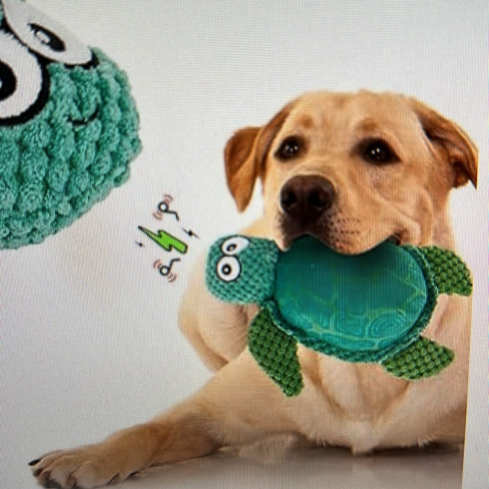 Pet Daddy Plush Dog Toy- Sea Turtle *NWOT
